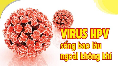 Virus sùi mào gà sống bao lâu, cách phòng tránh lây nhiễm